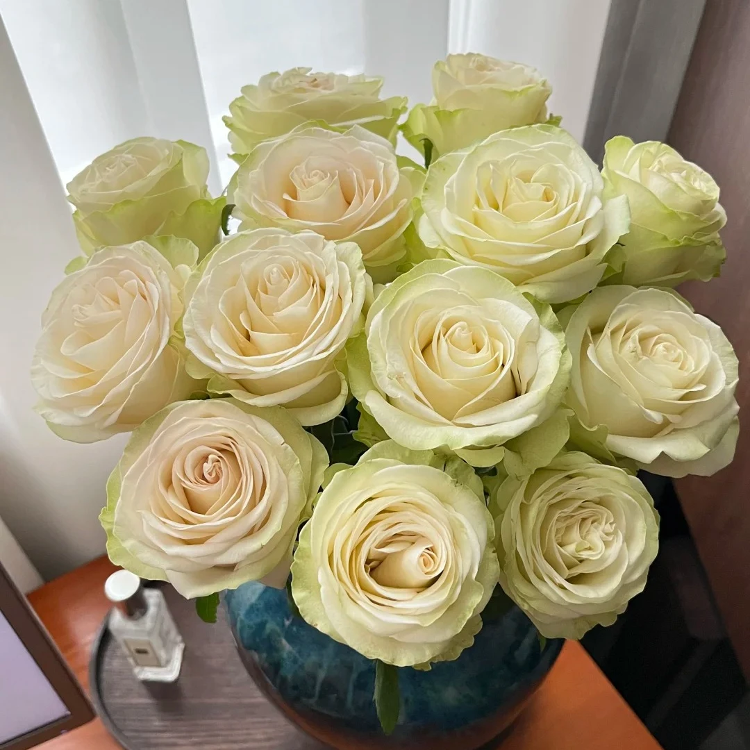 (琉璃翠)20枝玫瑰鲜花【1单普通快递,2单以上顺丰冷链】