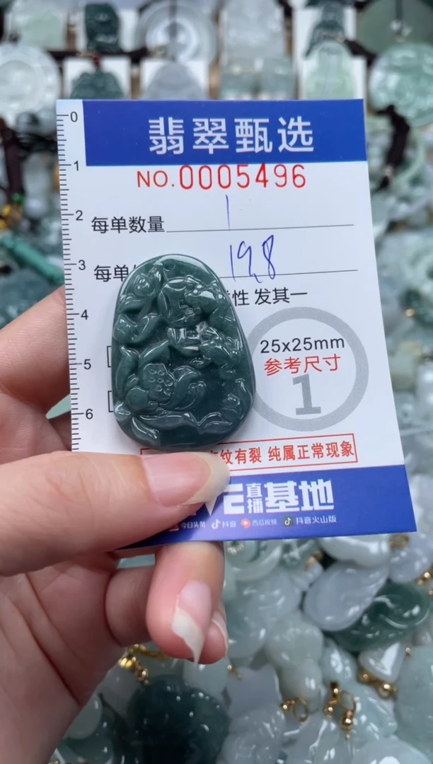 翡翠未镶嵌颈饰00..5496