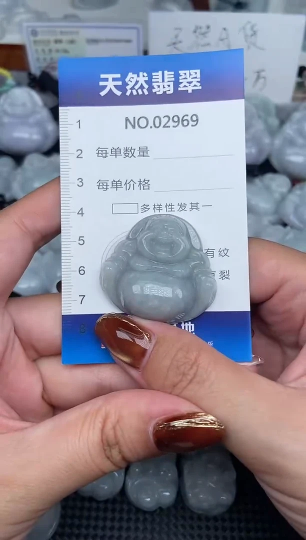 颈饰未镶嵌翡翠纯天然A货翡翠2969