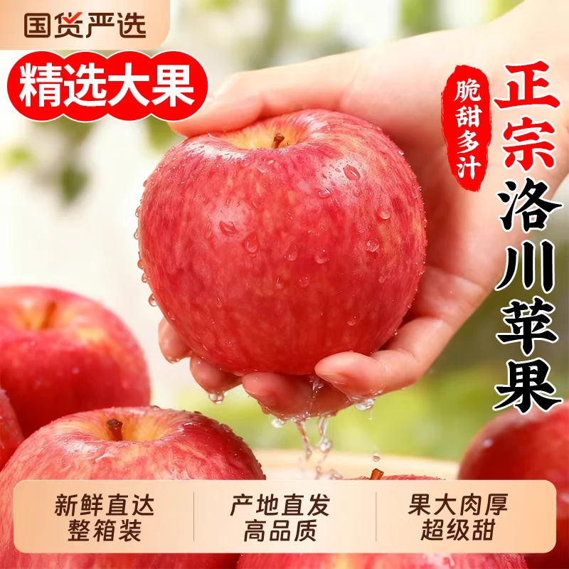 【抖音精选】陕西洛川苹果新鲜水果送礼整箱装坏果包赔 产地直发