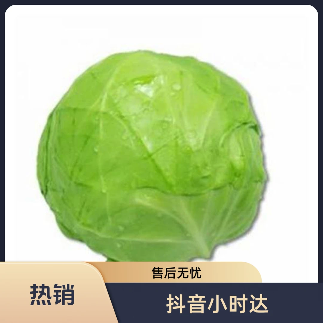 大包菜一个约1kg