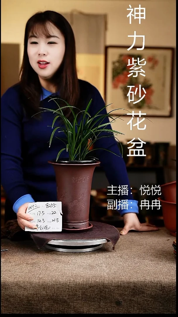 紫砂花盆花卉工艺8255+z