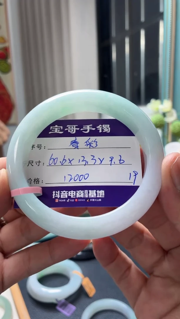 未镶嵌手镯翡翠翡翠手镯19