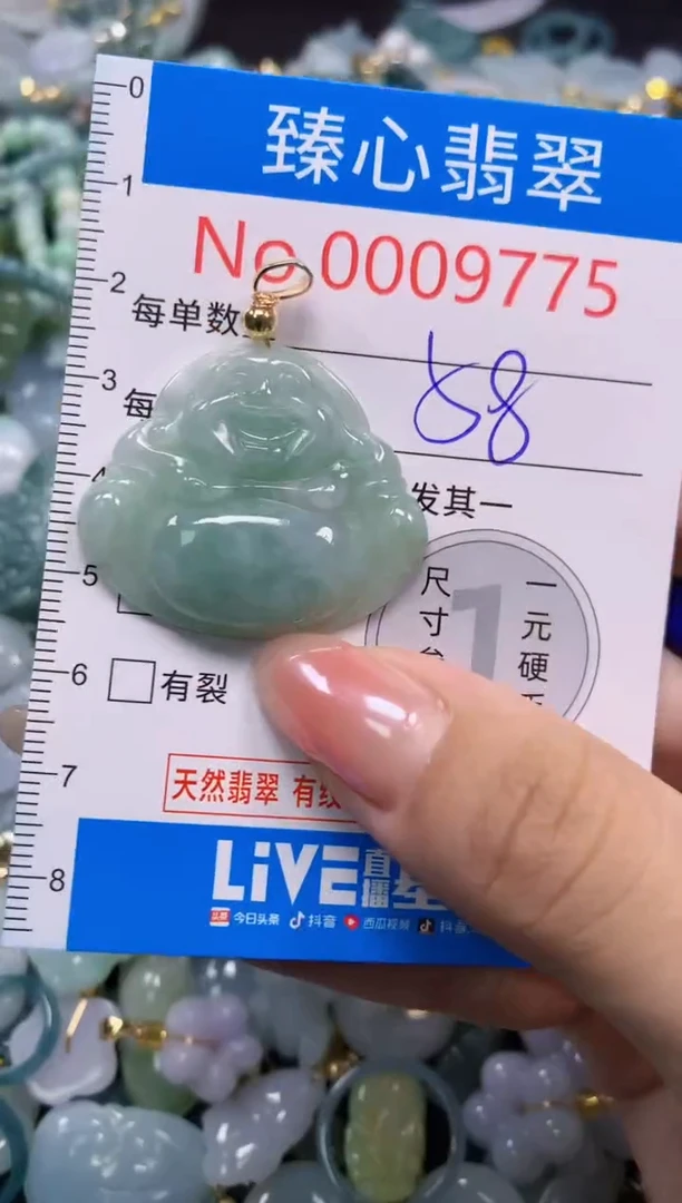 颈饰未镶嵌翡翠9775