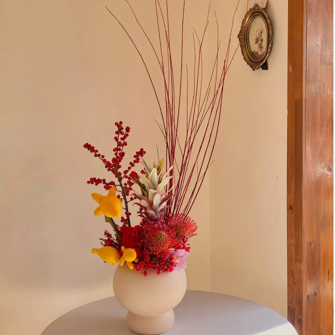 进口红柳|氛围感十足的年宵花，又叫红瑞木