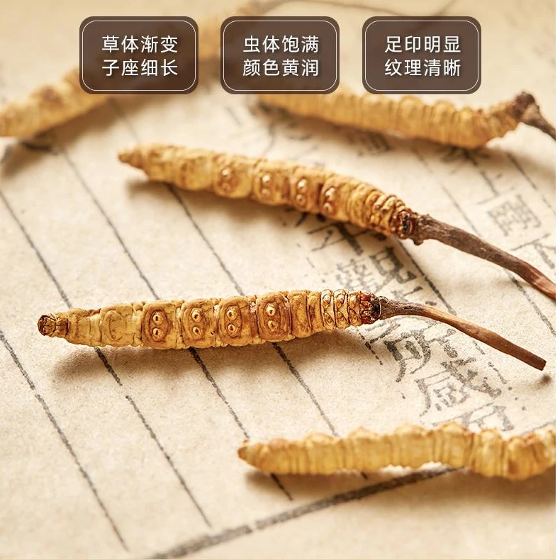【6000条】高海拔青海冬虫夏草 整草 高品质滋补礼品 适合自吃ml