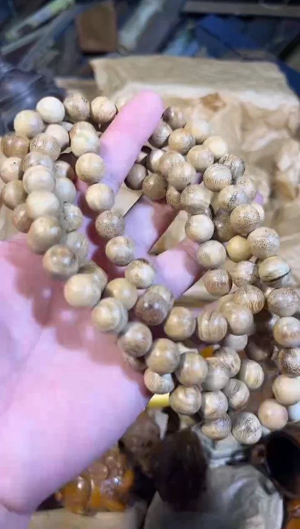 黄杨木11111111111111111