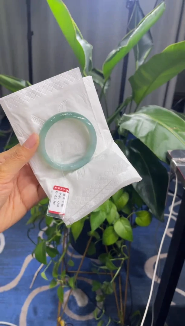 未镶嵌手镯翡翠2544