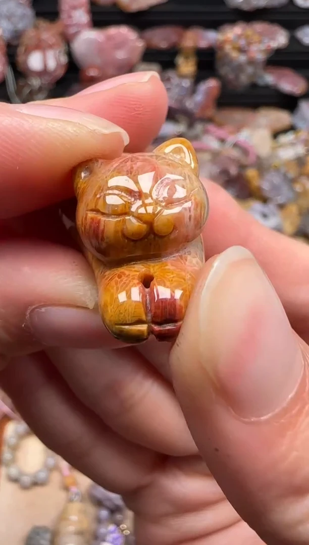 【闪购商品】硅化珊瑚（珊瑚玉）颈饰未镶嵌246