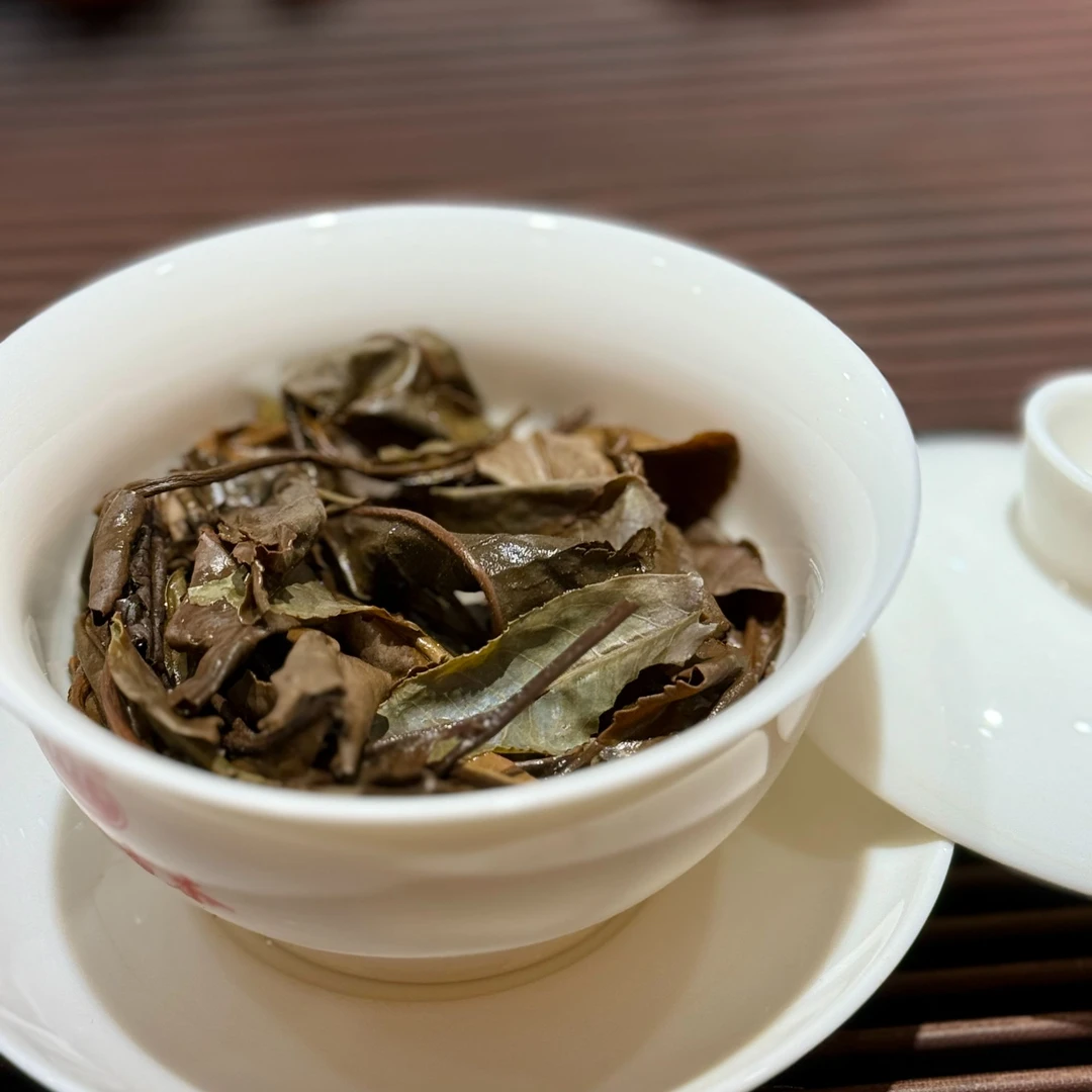 芒嘎拉2020年云南大叶种古树白茶小方片100克