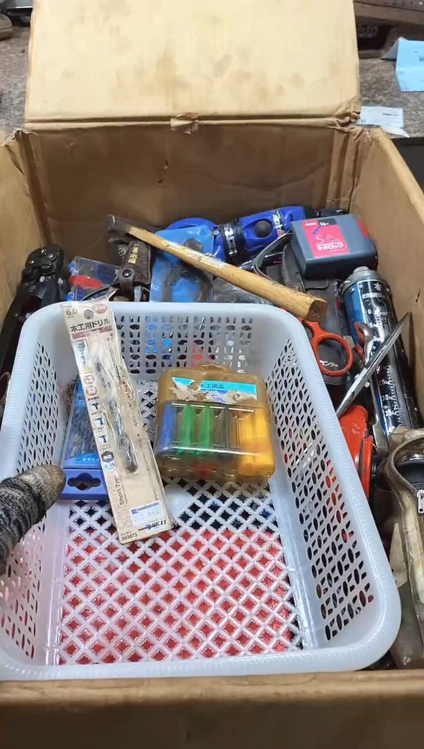 许***后麻嘎子工具闪购链接一物一拍