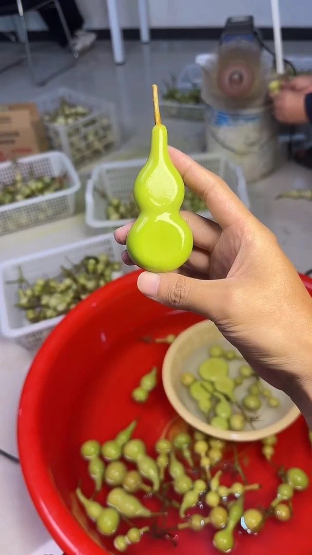 秋***盏文玩葫芦摆件手把件本捻扁