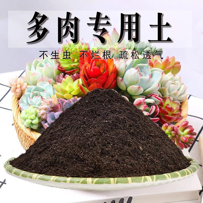 多肉专用土多肉营养土家庭肉肉种植土养花土通用种花土壤透气肥料