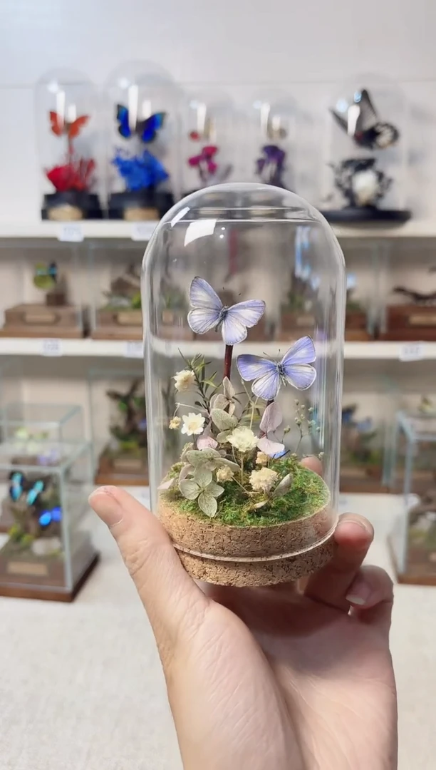 真实的大自然标本