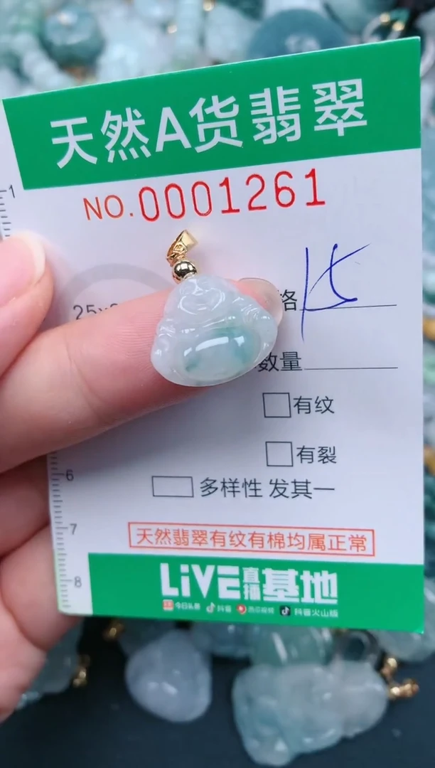 颈饰未镶嵌翡翠.0001261