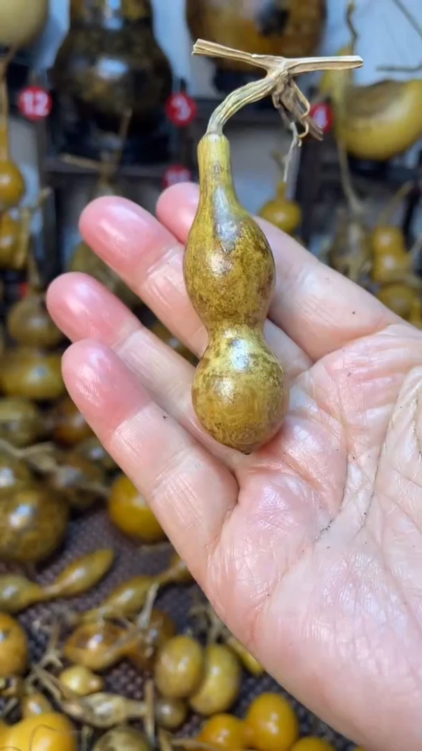 【闪购商品】葫芦葫芦好葫芦葫芦葫芦