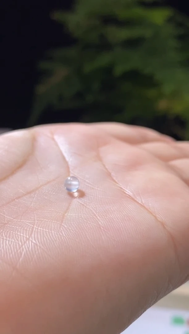 未镶嵌定制翡翠卡3.7珠珠 福利不退不换