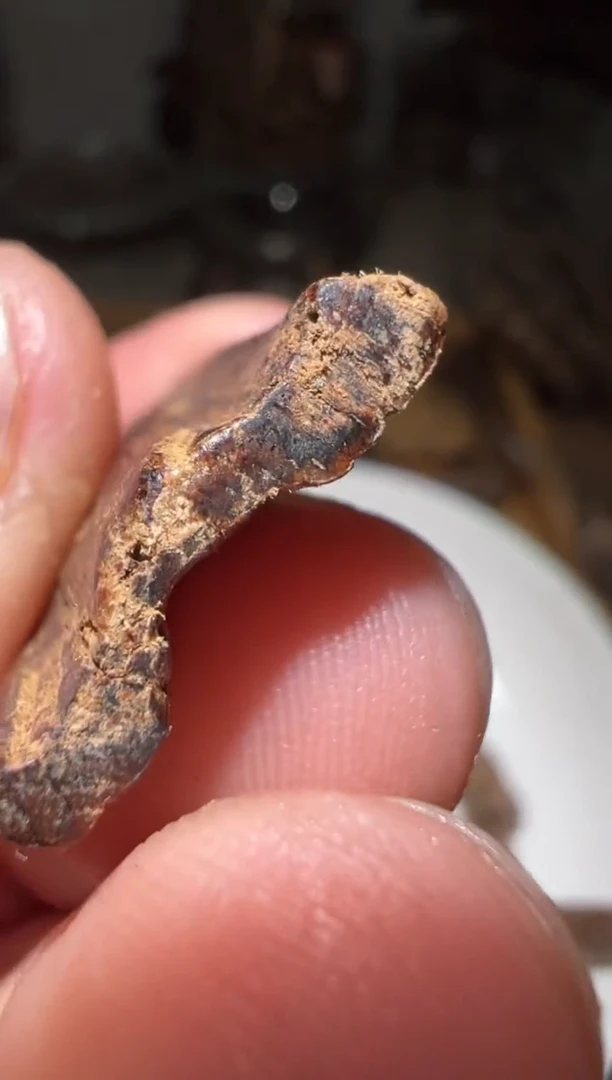 【闪购商品】沉香沉香碎屑文莱2.5克