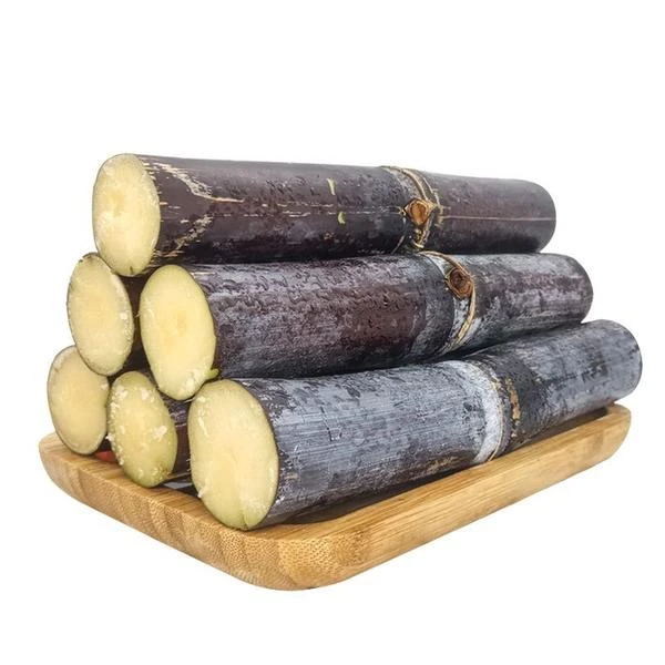 广西黑皮甘蔗 去头去尾 精品中段C