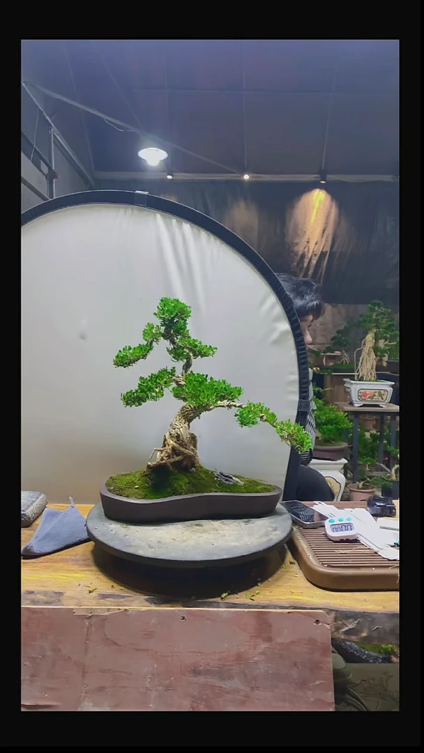 完全开放绝*0000000000000000
