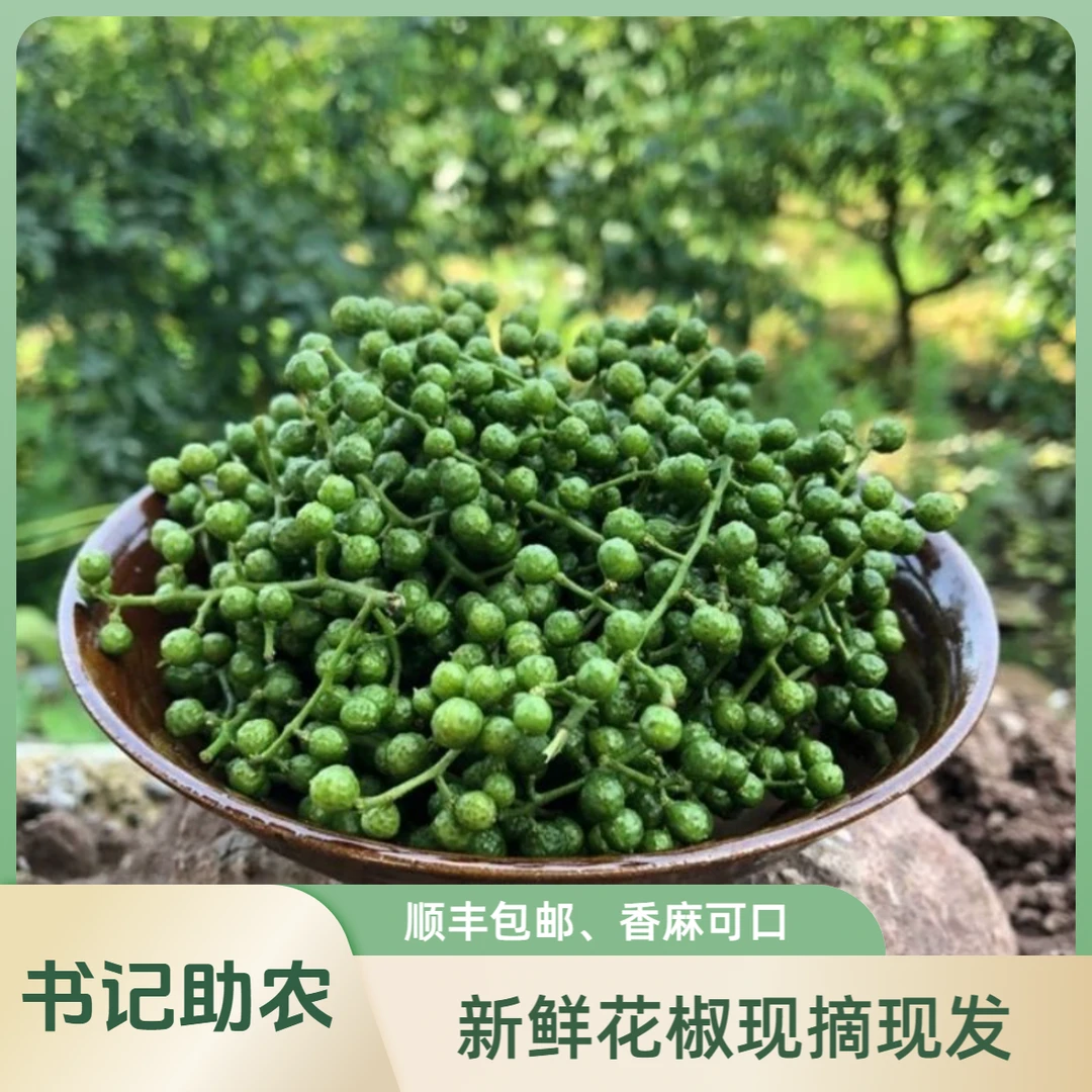 【书记助农、顺丰包邮】山东高山现摘鲜花椒500g