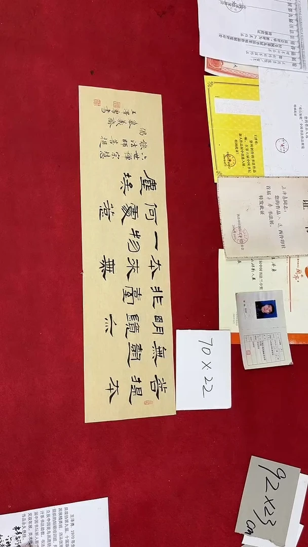 书法王泽勇老师书法作品064