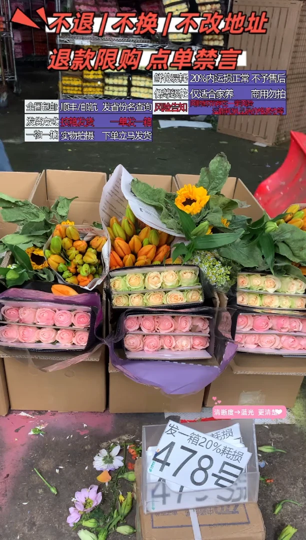 478号♥含20%耗损发一箱