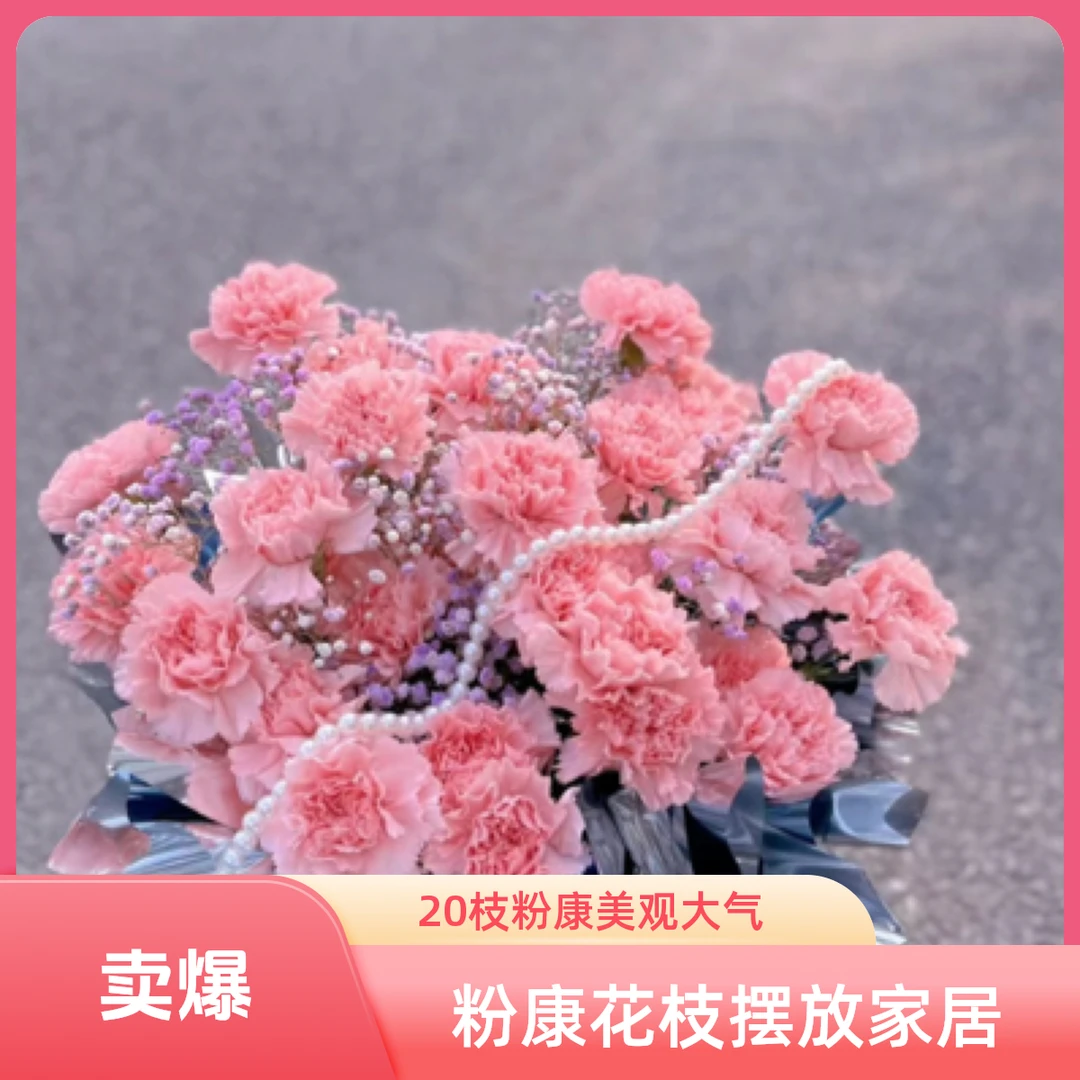 居家摆放 粉康20枝