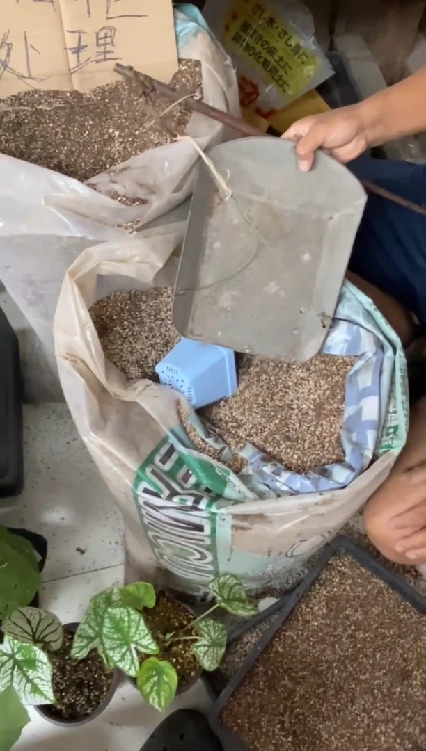 旧营养土两斤包邮