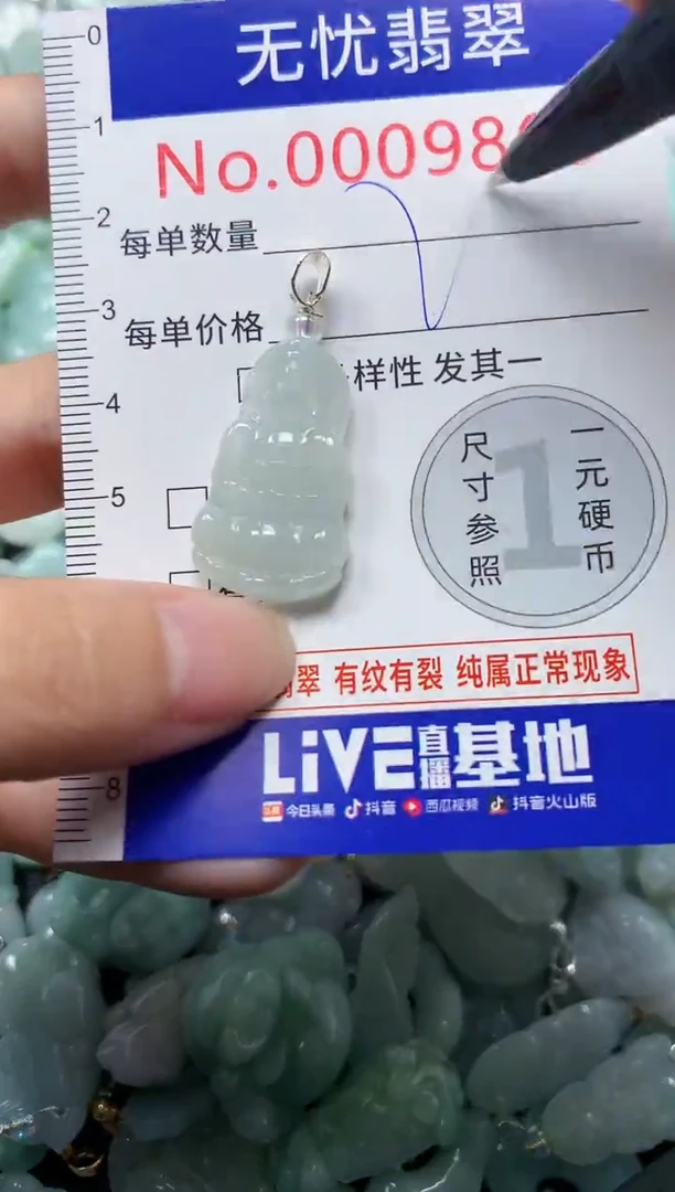 颈饰未镶嵌翡翠9869