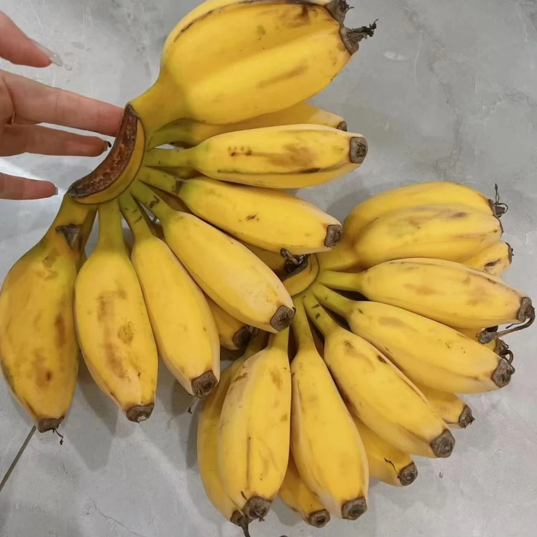 【耒阳配送】树熟皇帝焦 粉焦 两斤 纯天然无添加