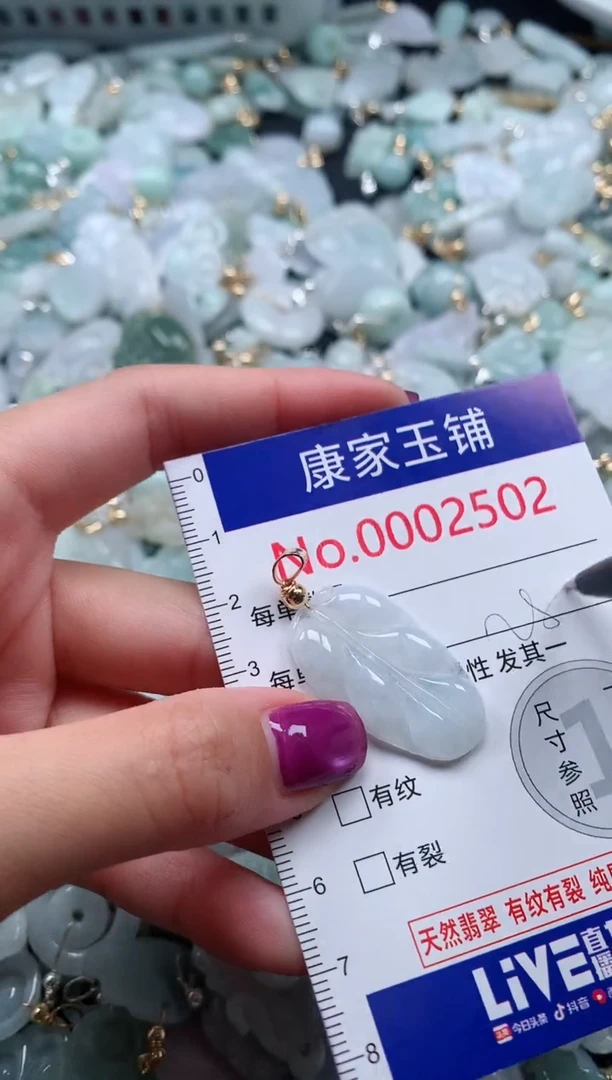 颈饰未镶嵌翡翠2502
