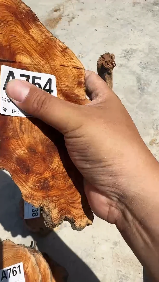 柏木太行陈化崖柏一片754