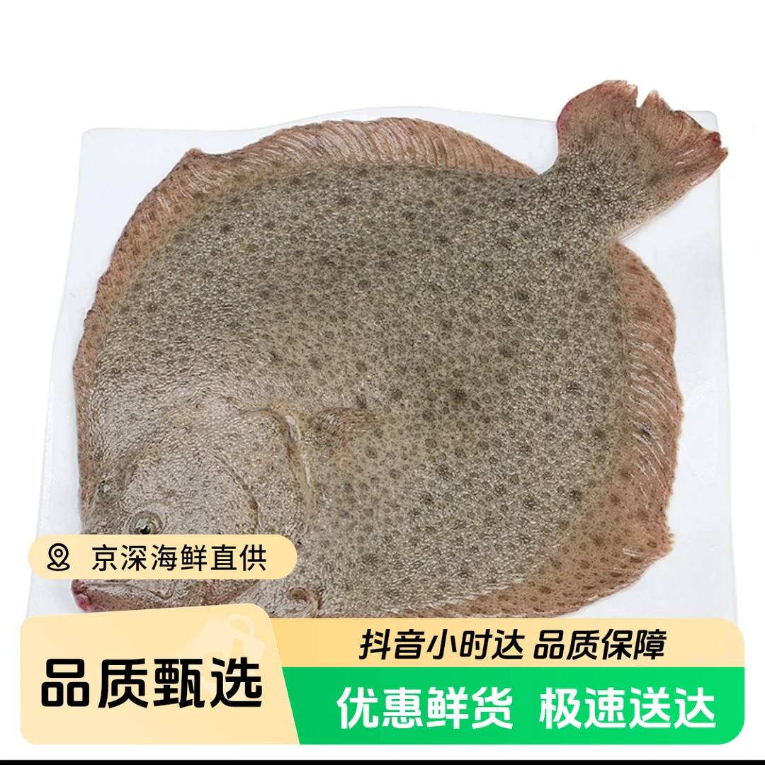 鲜活多宝鱼 约1.5斤/1条