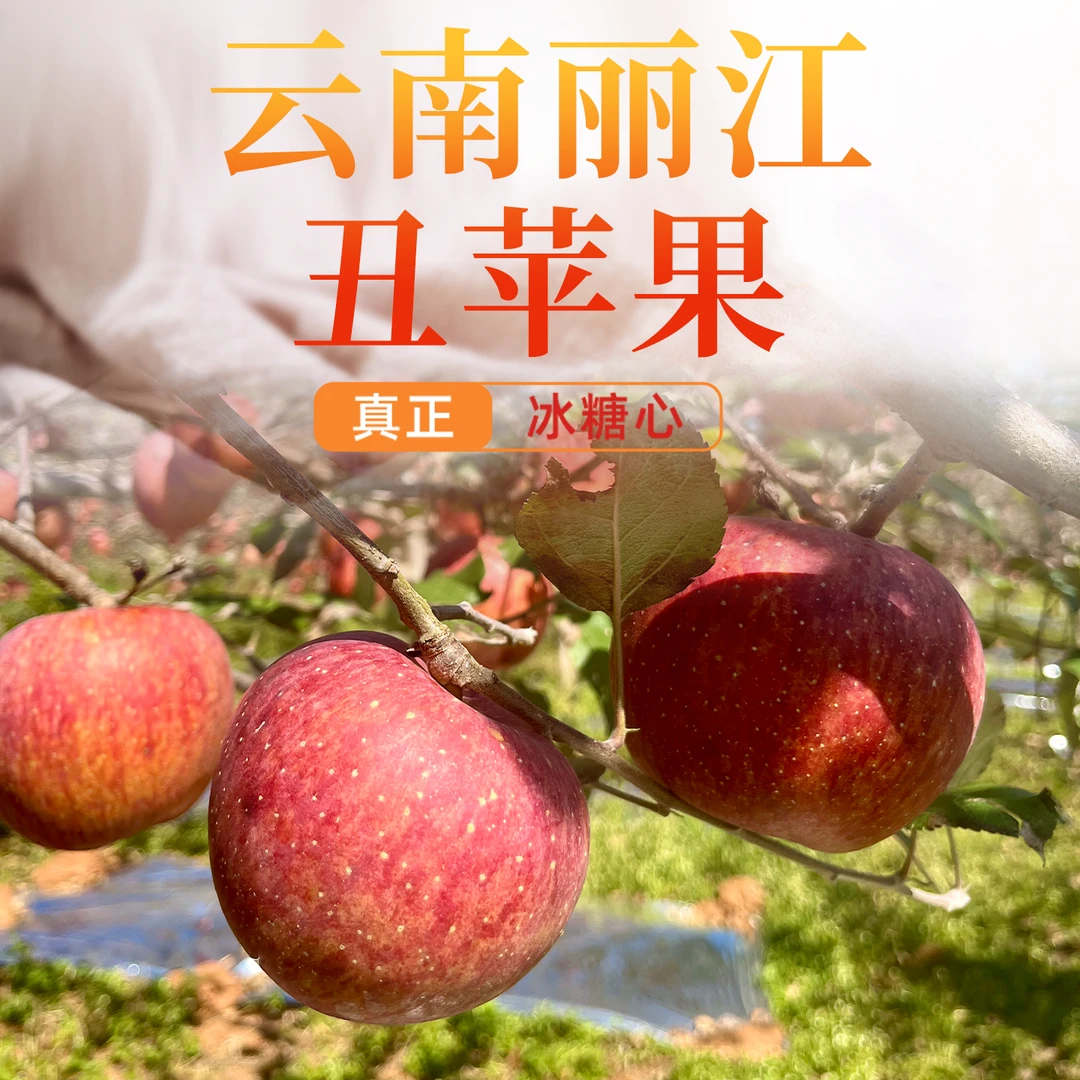云南丽江正宗现摘冰糖心丑苹果新鲜脆甜水果10斤中果70-80mm