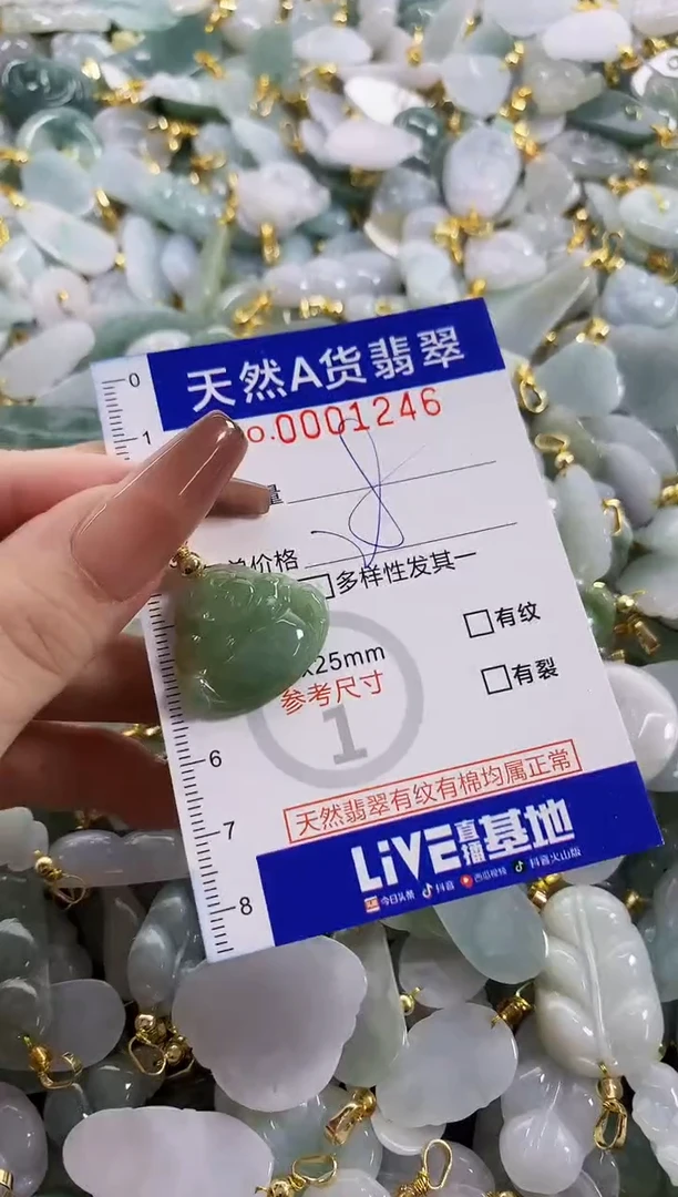 颈饰未镶嵌翡翠天然A货翡翠