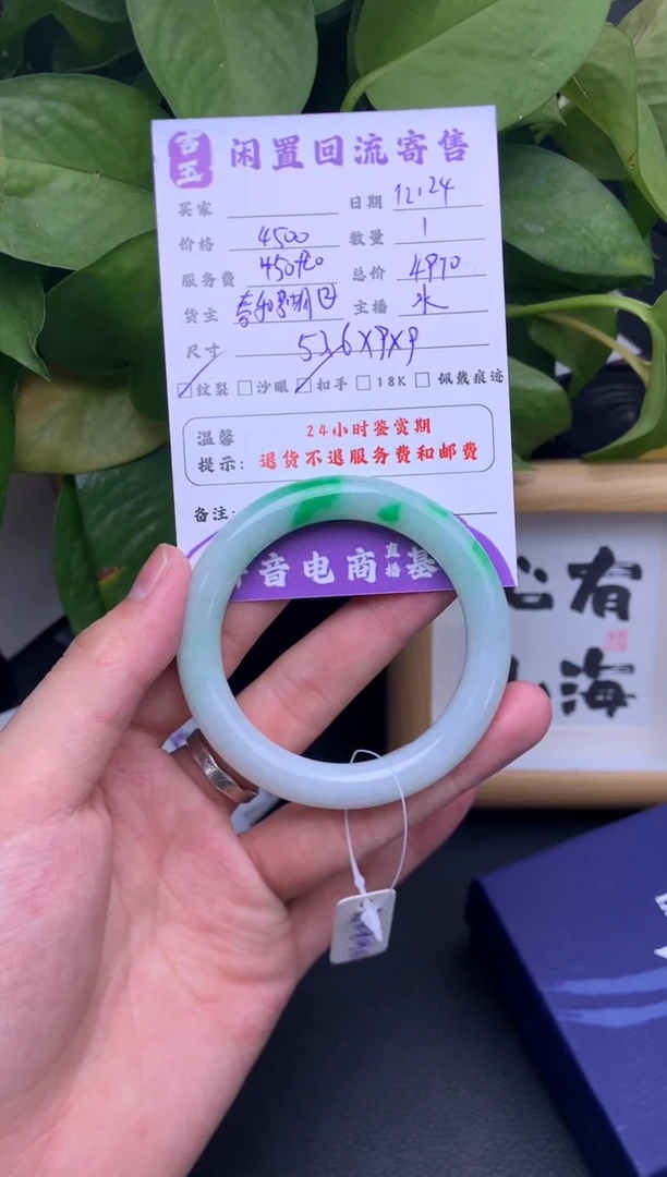 未镶嵌手镯翡翠手镯