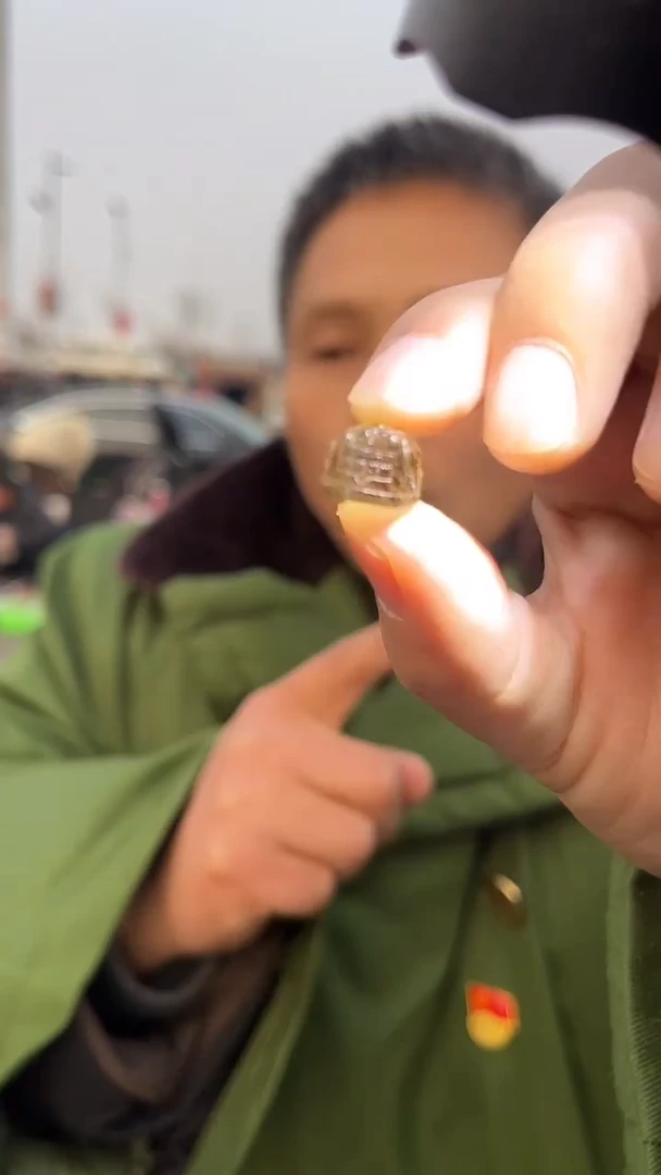 【闪购商品】发晶吊坠(不含链)未镶嵌天然多样性发一