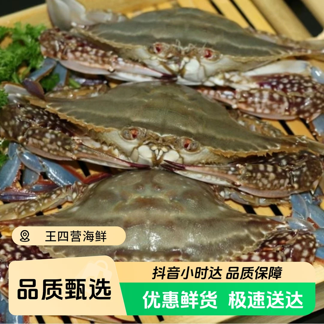 鲜活梭子蟹（保鲜不包全活）