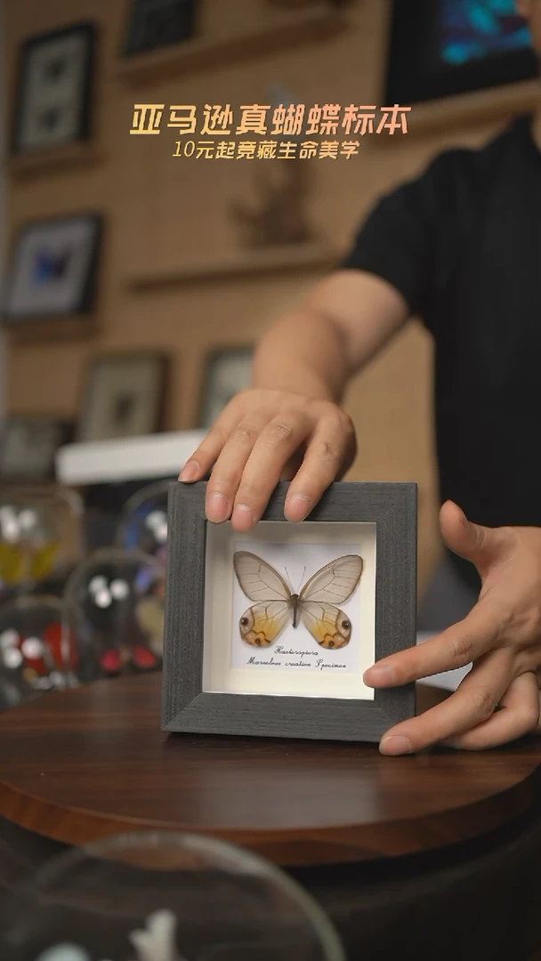 有机玻璃黄晶眼蝶四寸方框