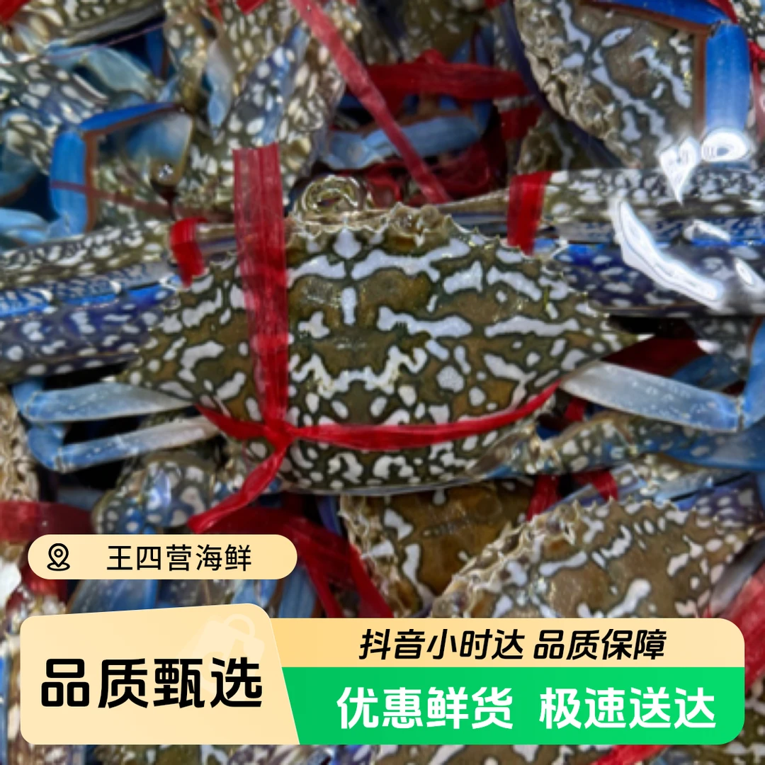 国产大只鲜活兰花蟹公蟹吃肉一斤3到4只（1-4斤）