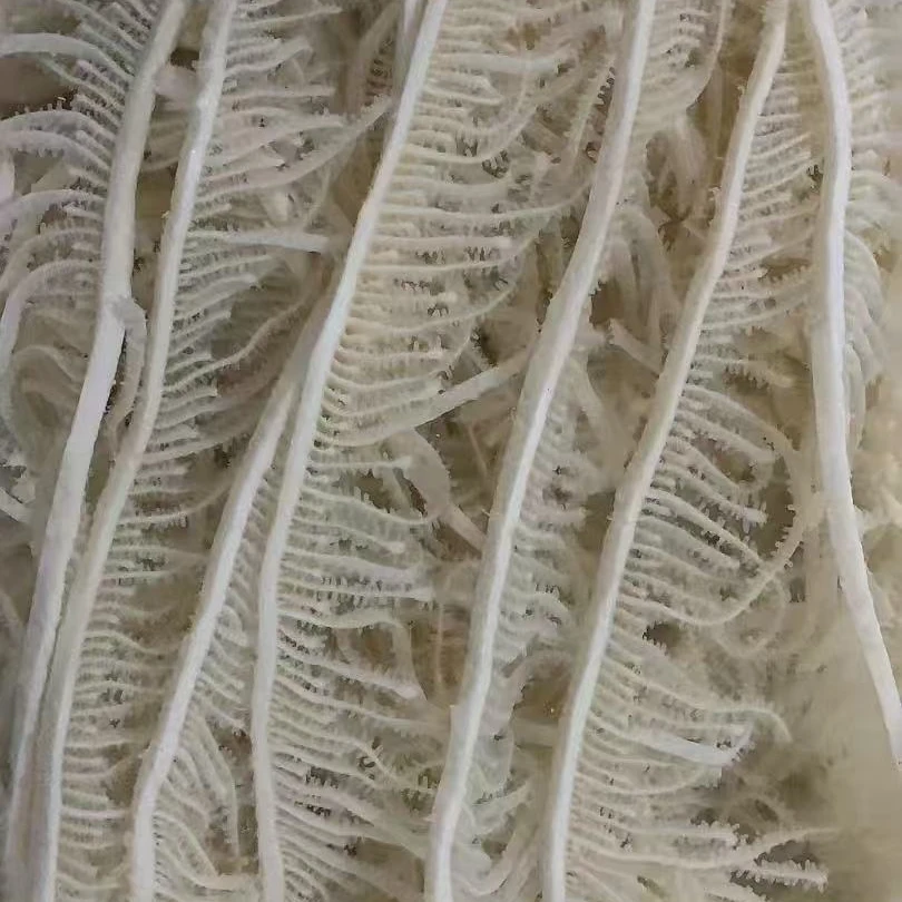 白煮千层毛肚火锅牛副产品毛肚千层毛肚生鲜 固形物含量95%以上