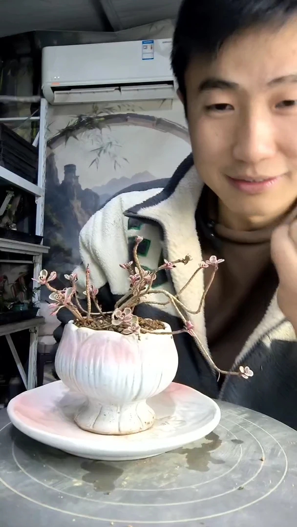 ๑****๑中青园艺一物一拍92