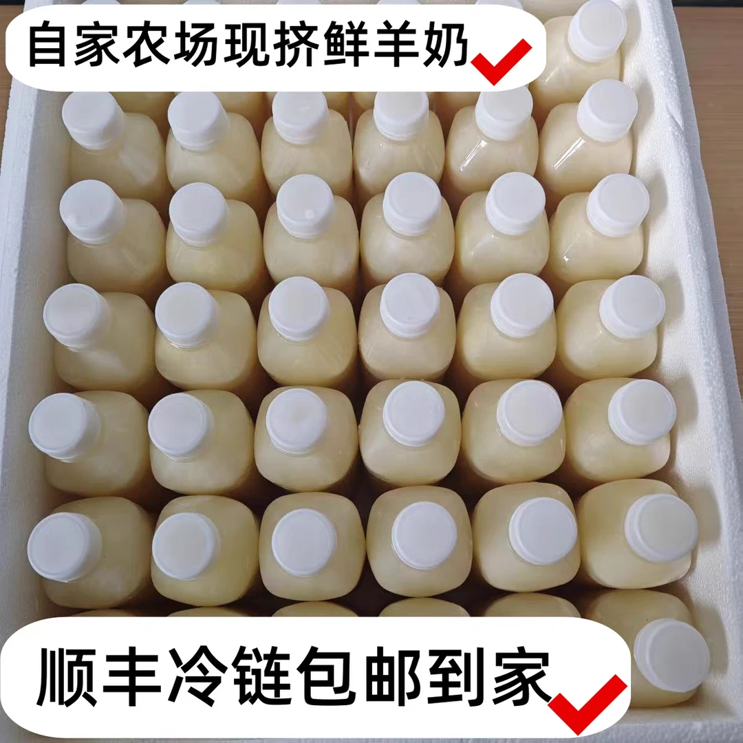 二阳鲜羊奶  现挤零添加  顺丰包邮  孕妇儿童老人补钙铁锌养脾胃