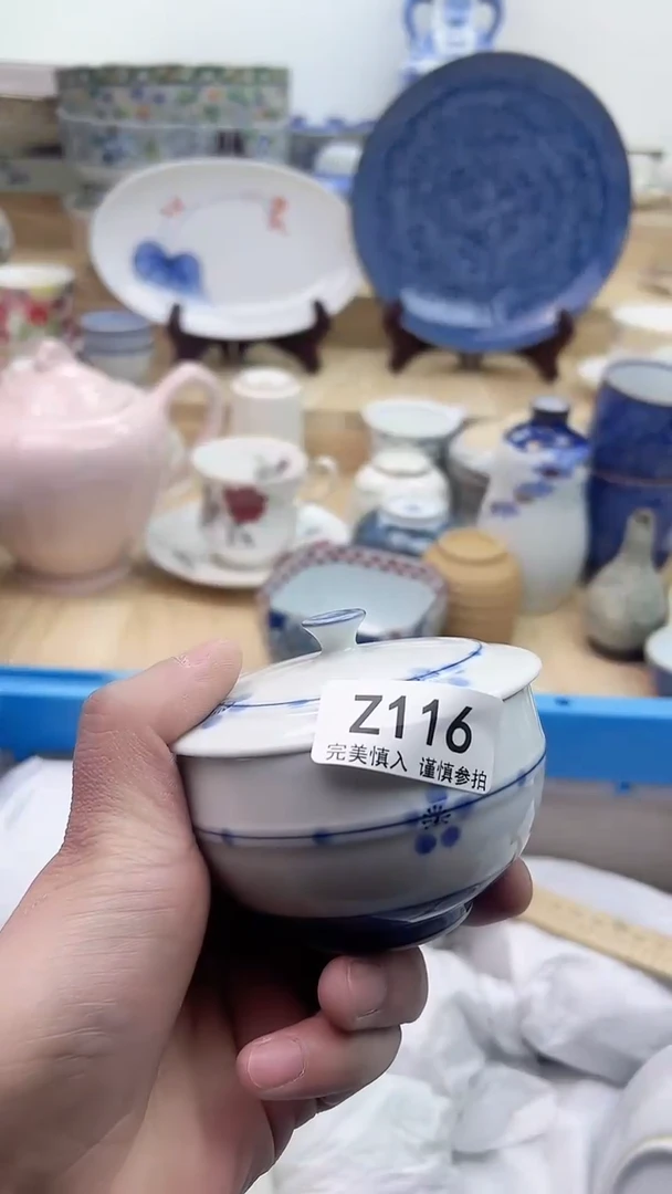 【闪购商品】瓷片116