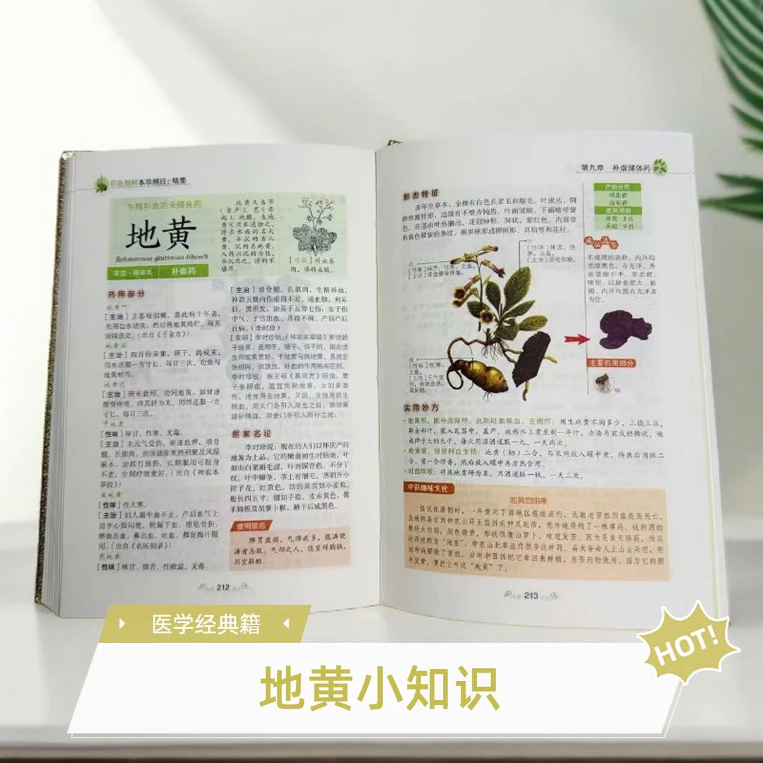 本草纲目 描红插图完整版原文