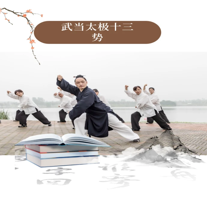 武当太极十三势拳