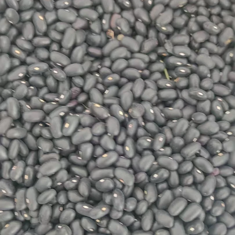 东北老品种黑豆深山种植粗粮可熬汤煮饭
