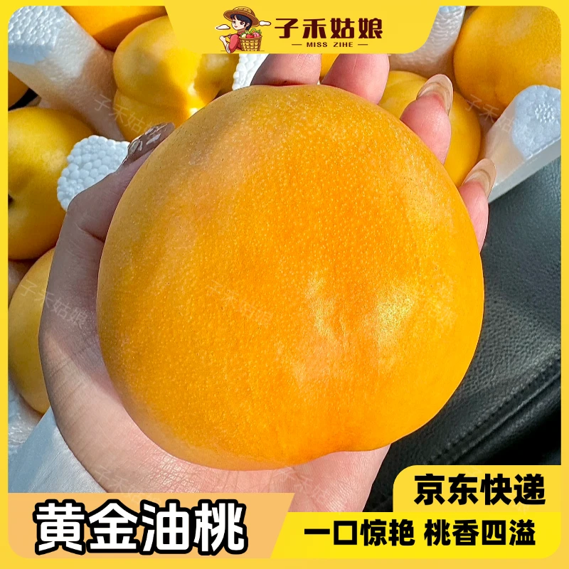 沂蒙山黄金油桃蒙阴黄桃蜜桃子新鲜现摘应季水果3斤4.5斤