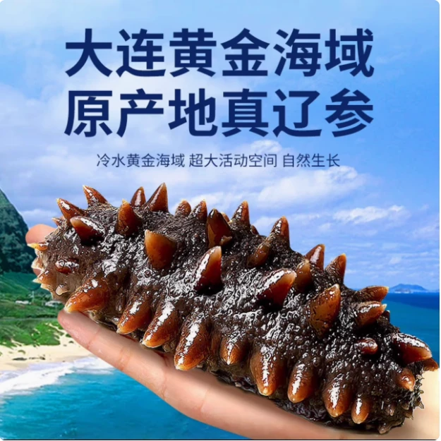 【洋洋专属】即食海参 海参大连辽参鲜食即食海参11-13头左右营养